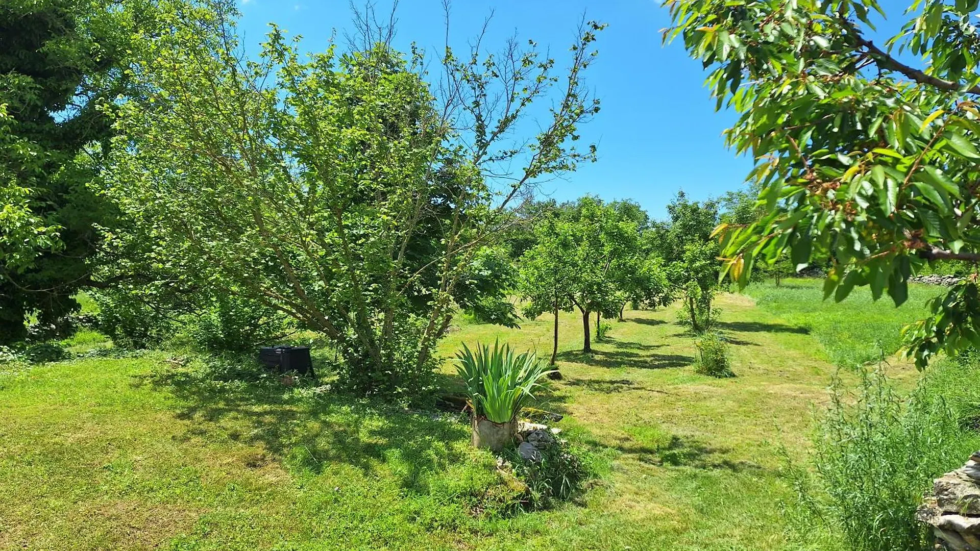 Villa Malini Grožnjan Chorvatsko